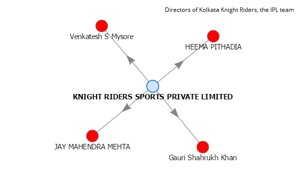 Kolkata Knight Riders - Directors