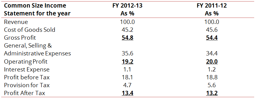 Common Size Table