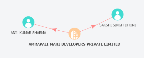 Amrapali Mahi Developers Company Network by Team Tofler