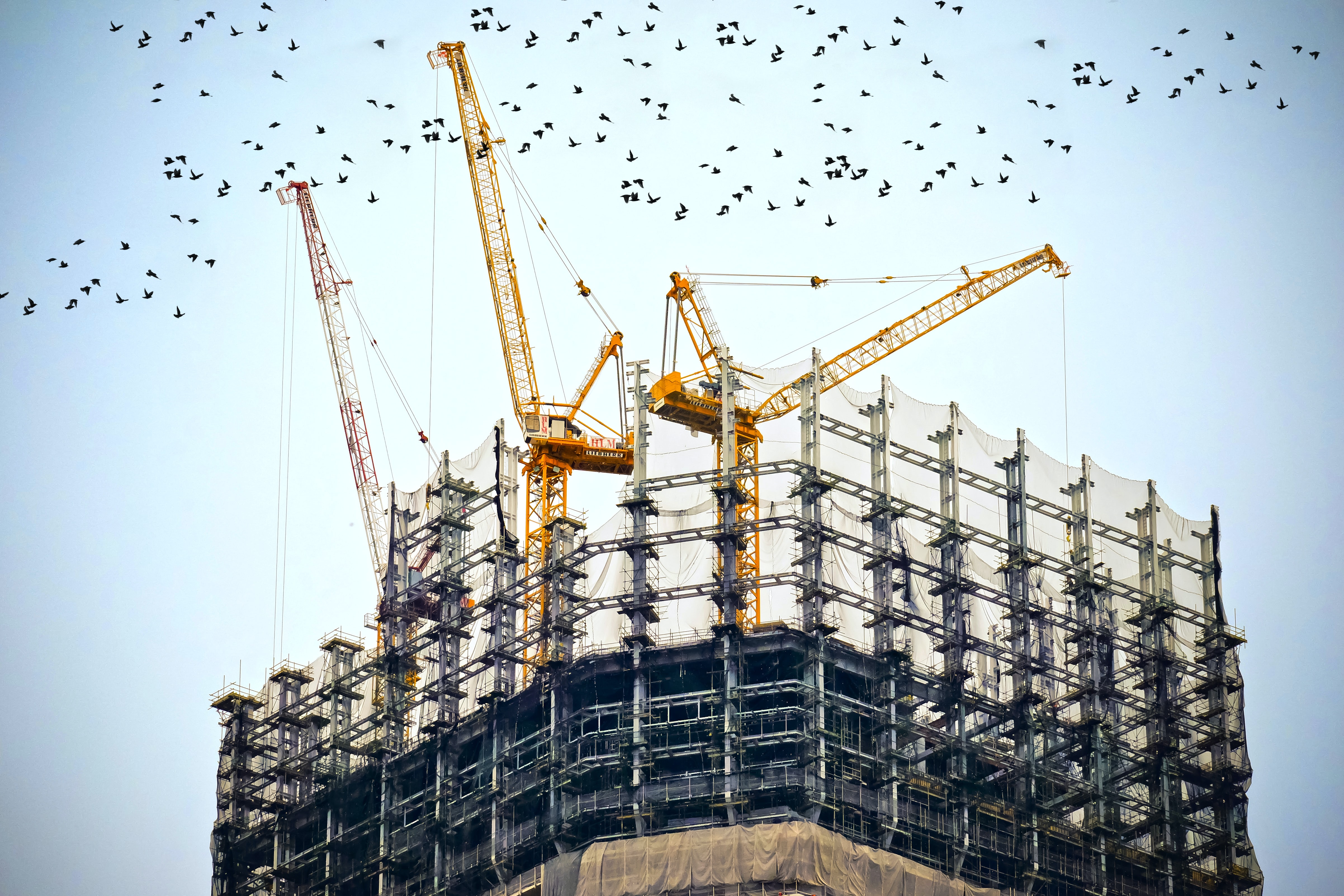 Construction Companies in India