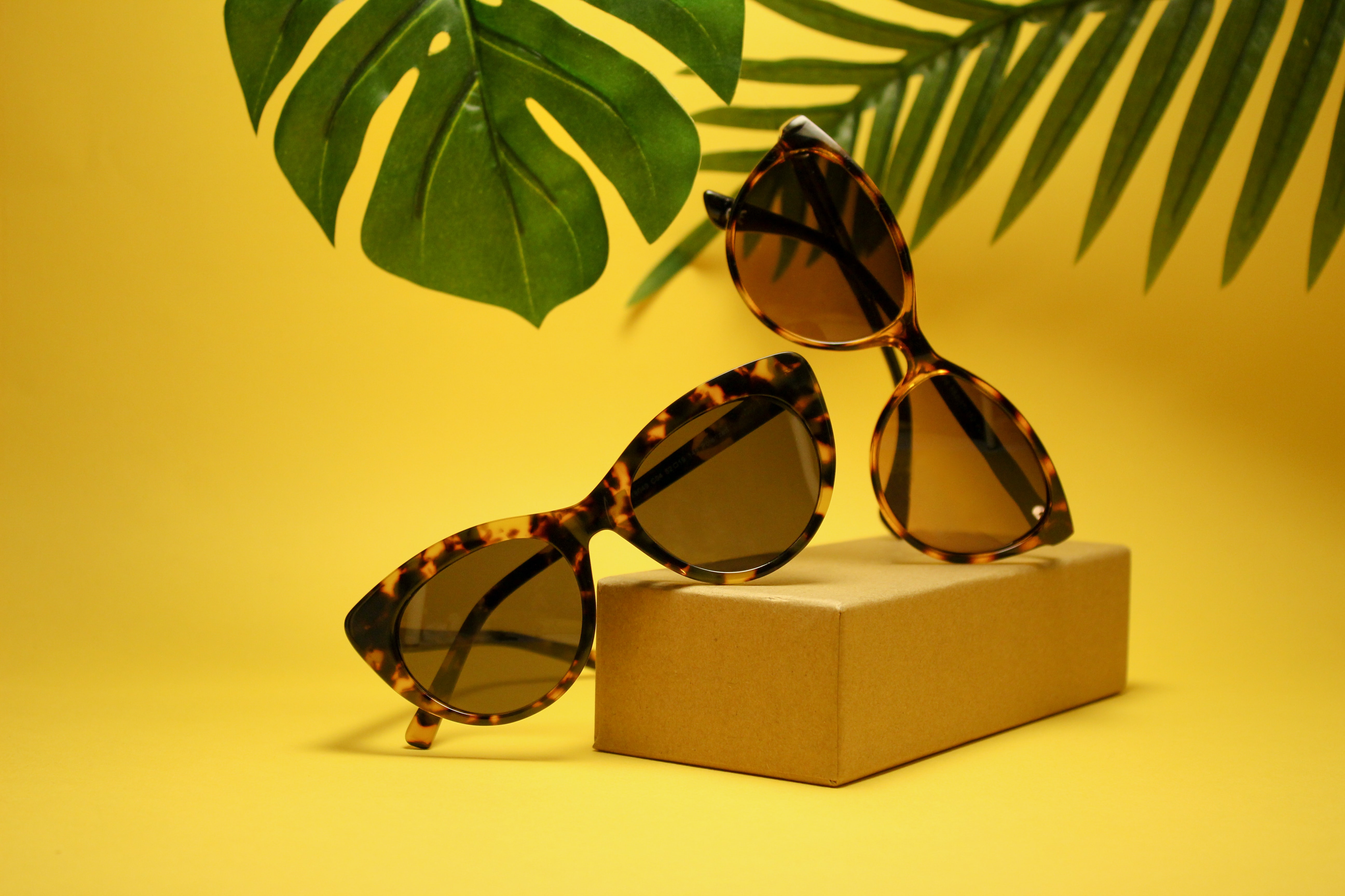 Top Eyewear Brands In India Optical Companies Tofler